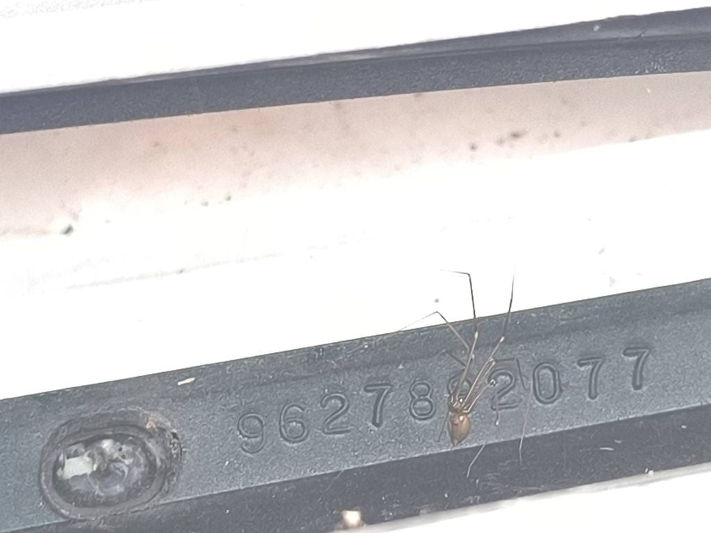 Citroen Xsara 2000 Front grill 9627892077 