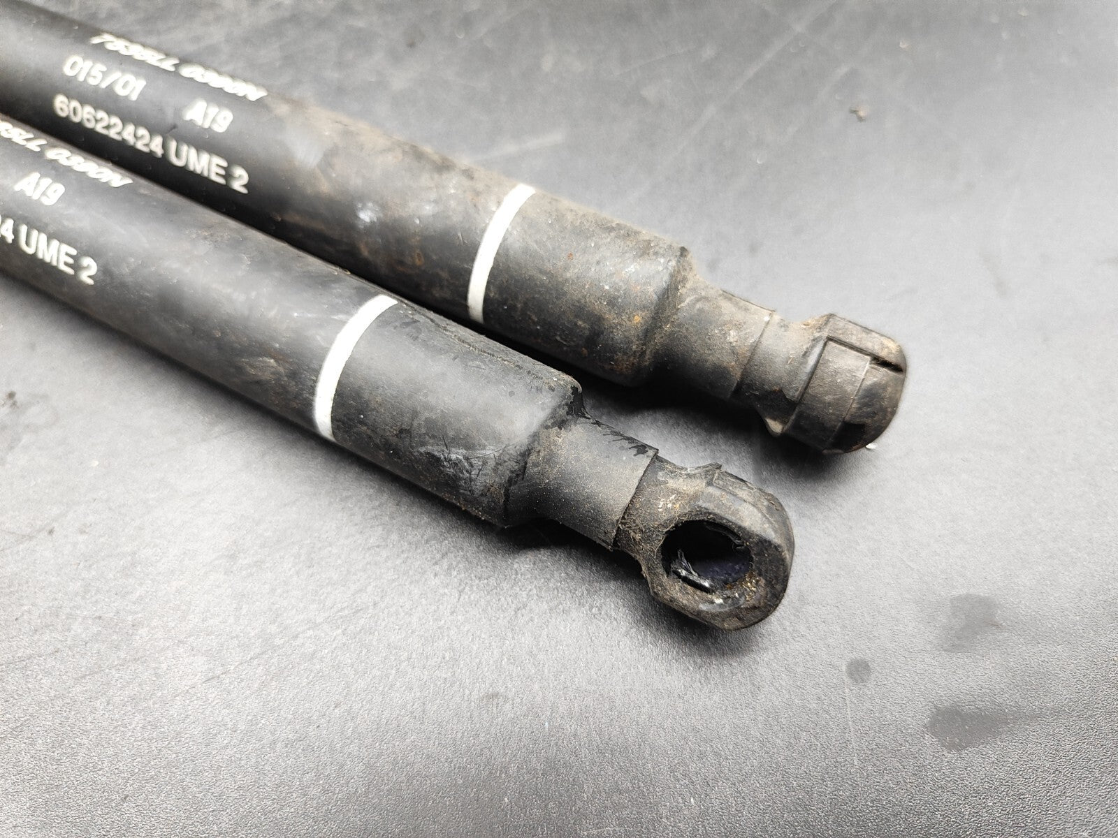 Alfa Romeo 166 Diesel 2002 Rear Tailgate Trunk Strut Shock Set 60622424