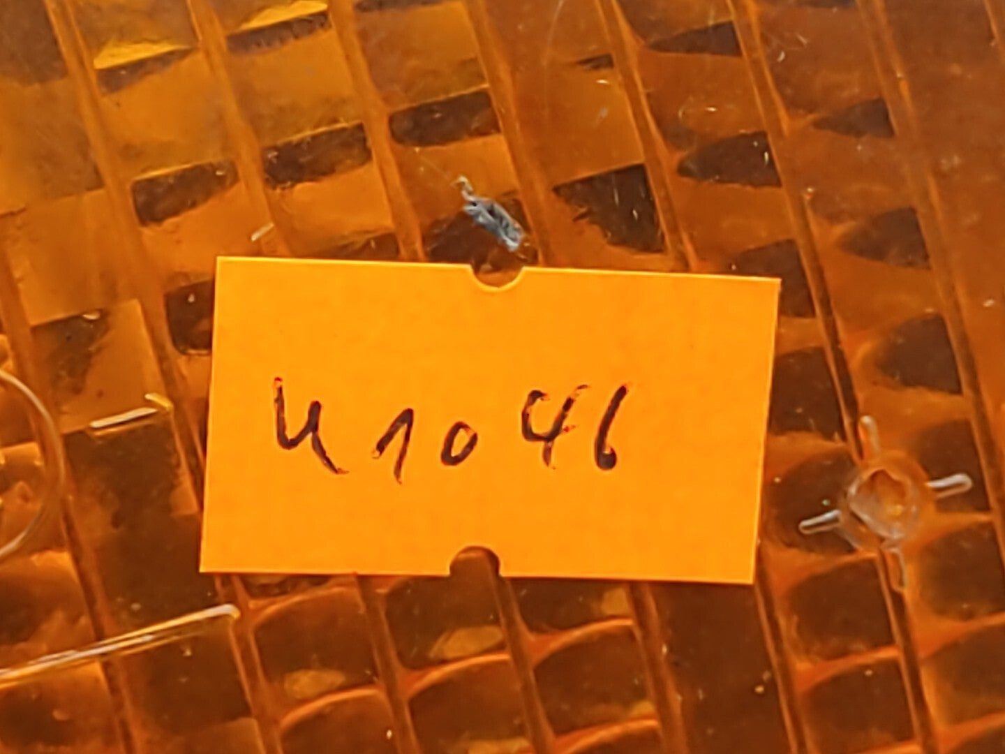 BMW 5 Series E34 525i Front Right Side Indicator Turn Light 1384034