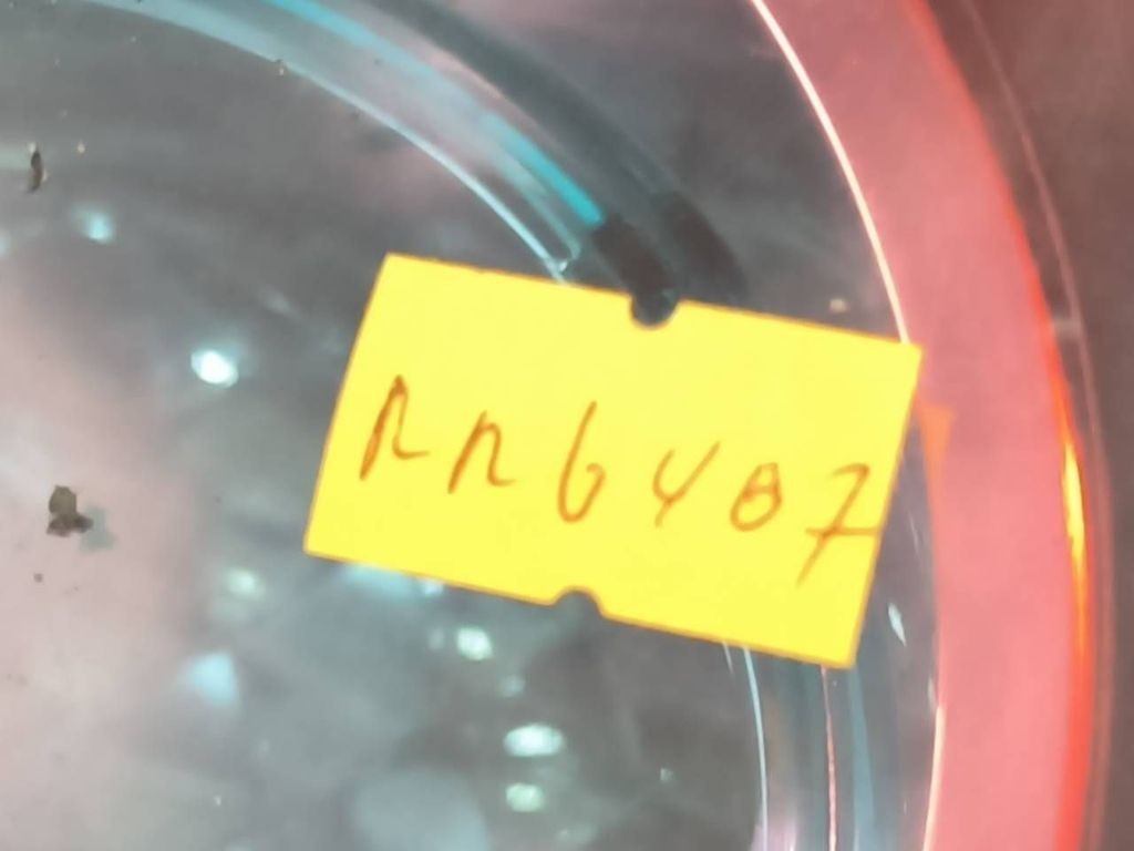 Fiat Croma 2.4JTD 147kW 2007 Diesel LHD rear left tail light lamp 51727252 